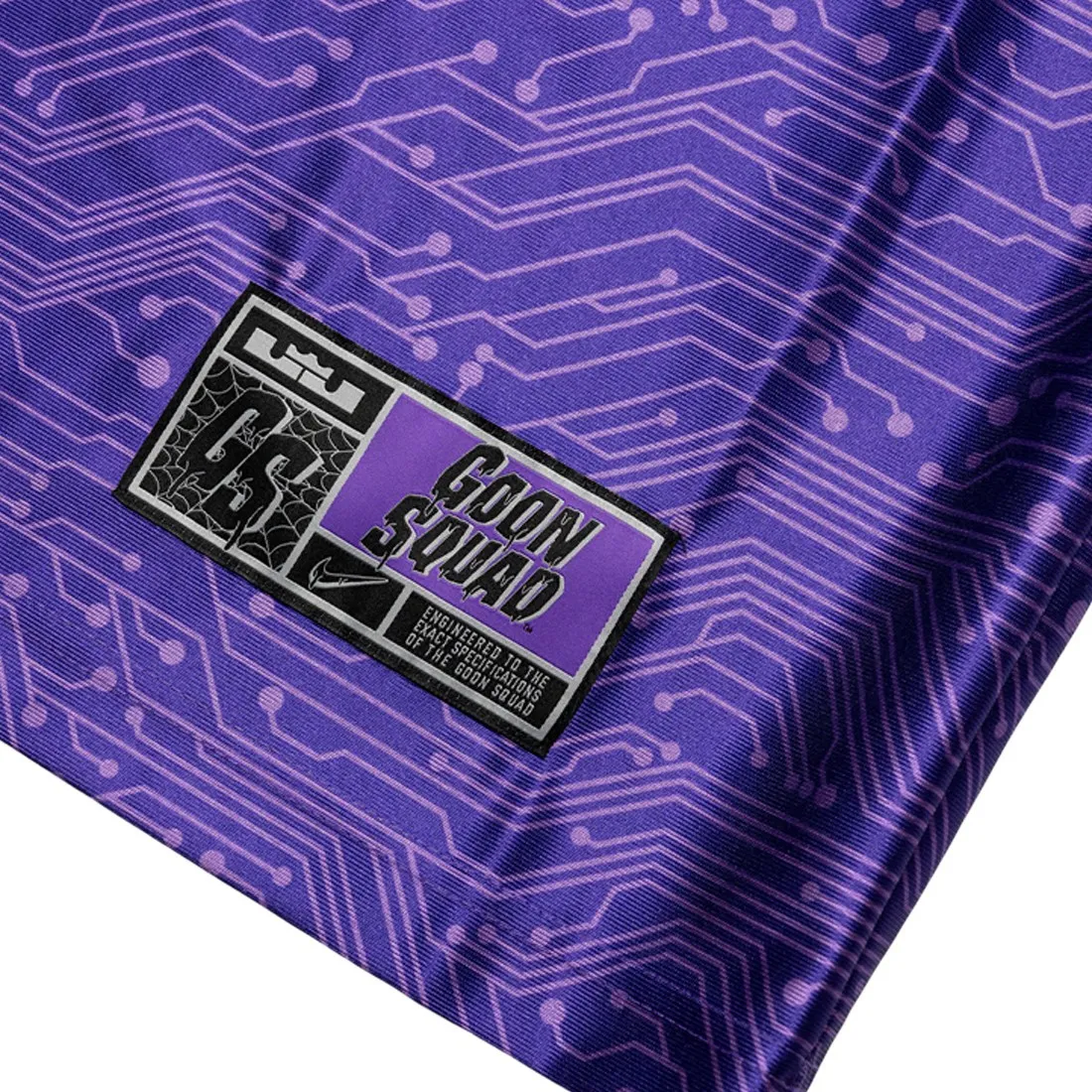 Nike Men Lebron X Space Jam: A New Legacy Goon Squad Jersey (hyper grape / wolf grey)